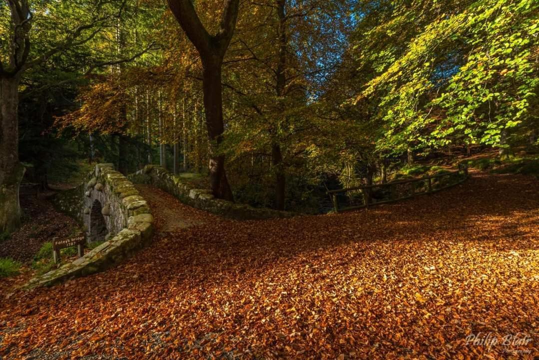 Bryansford Cottage Stables Bagian luar foto